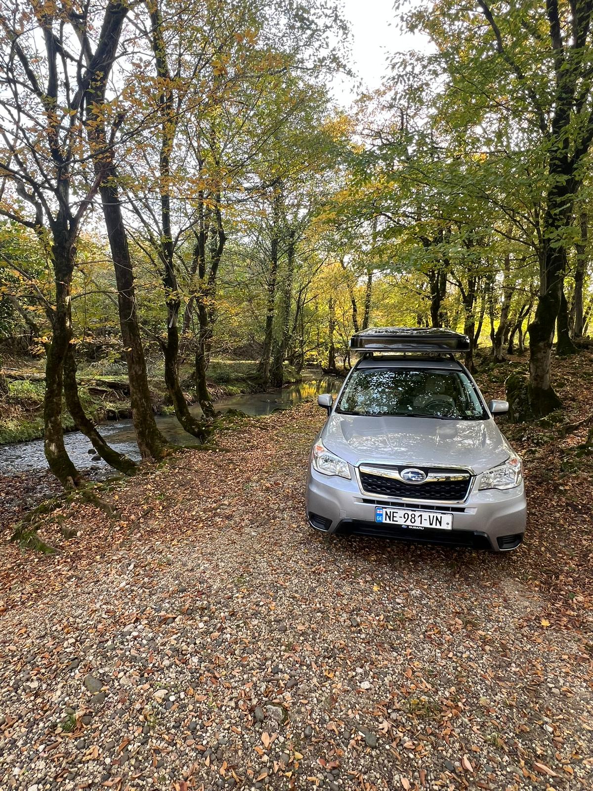 Subaru Forester 4*4 Auto ( 2 Adults -2 Childer )